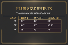 Load image into Gallery viewer, Plus Size Long Sleeve Top